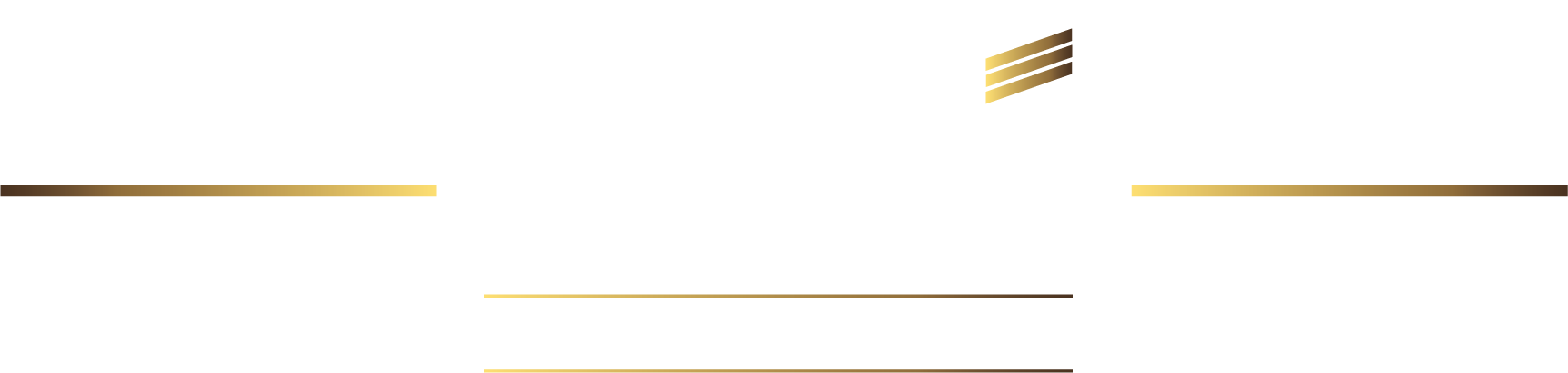 Logo SGI Spray Gun Import